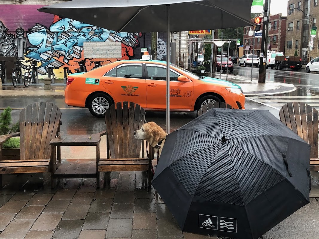 Photo principale Broadview Espresso