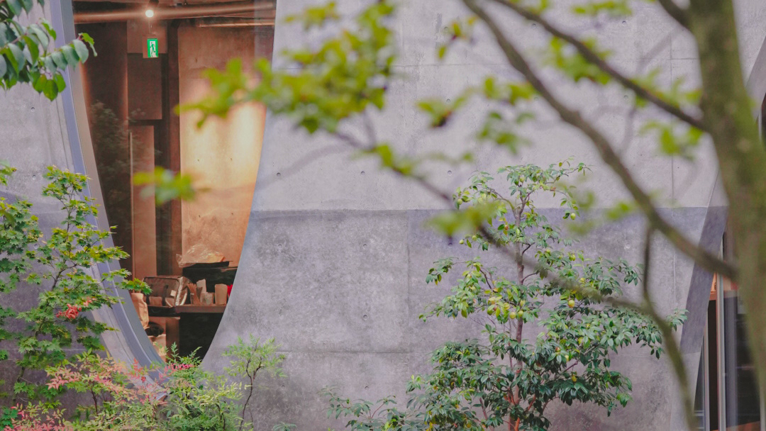 Swell Coffee Roasters hero