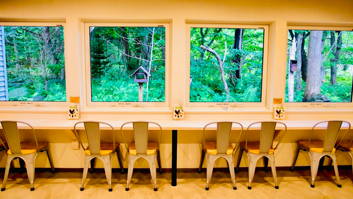 The Bird Watching Cafe hero