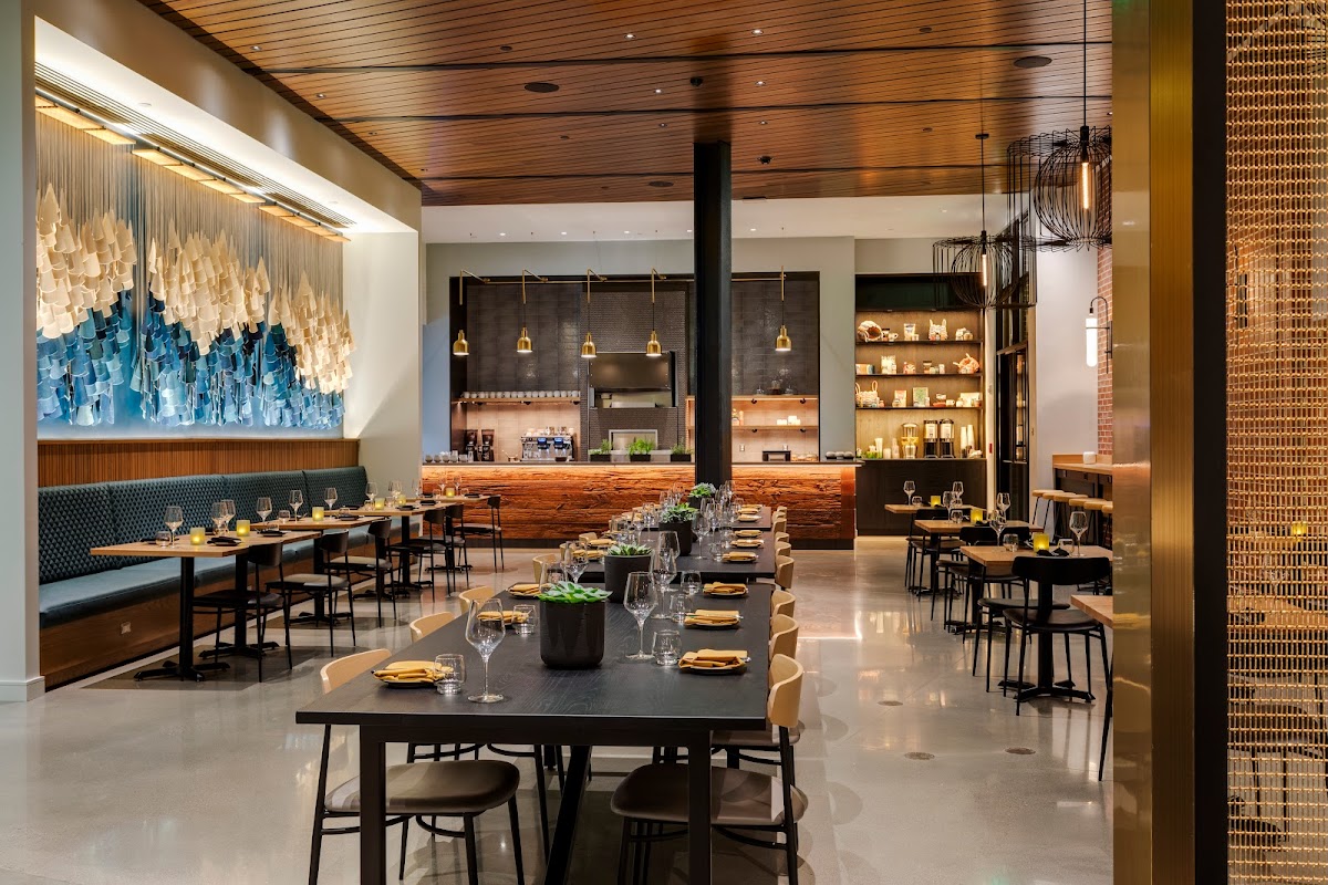 Salt Yard Cafe & Bar ヒーロー画像