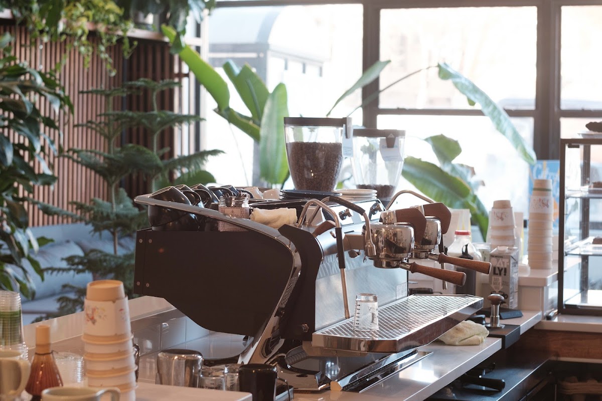 SK Coffee: Whittier hero