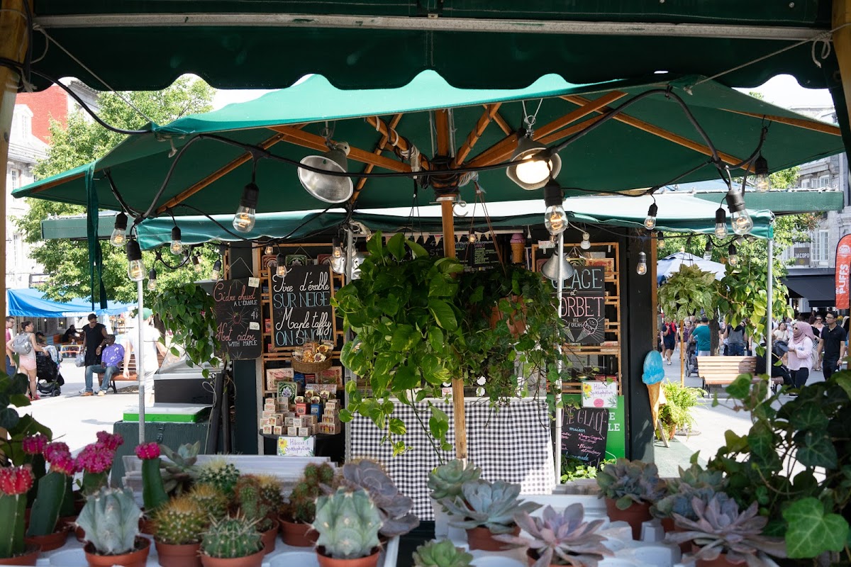 Marché Place Jacques-Cartier/ Cabane à Sucre hero