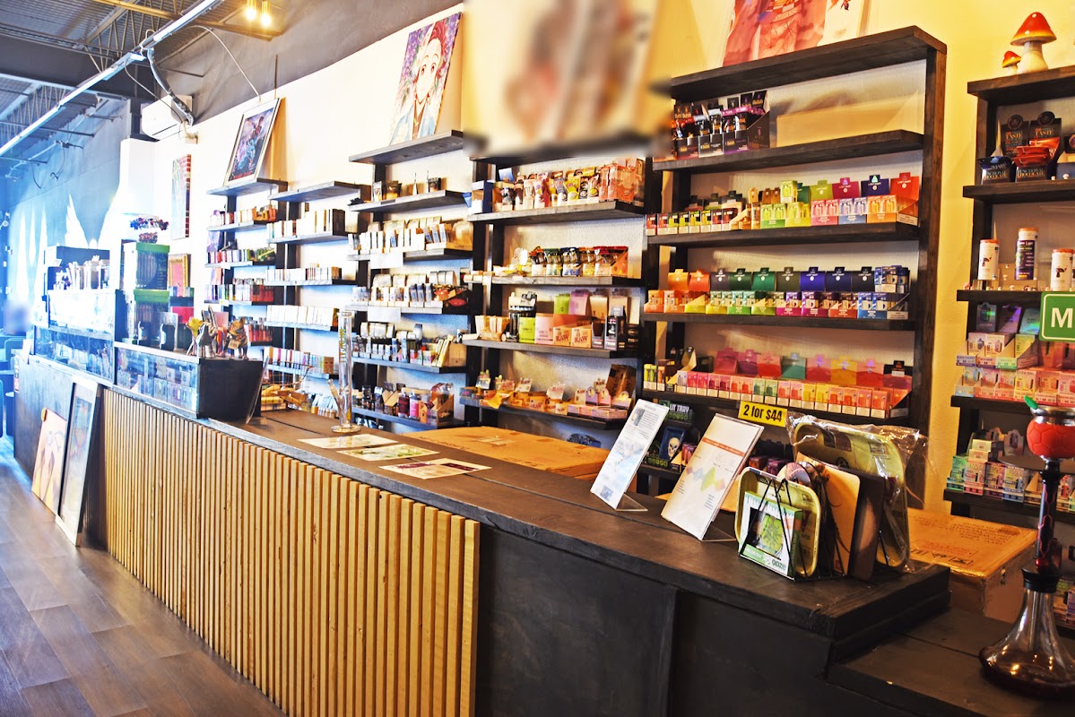 Photo principale Insomnia ISG Kava Bar and Lounge