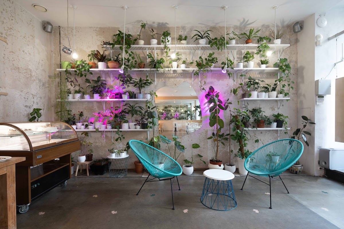 Mistral Cafe Titelbild