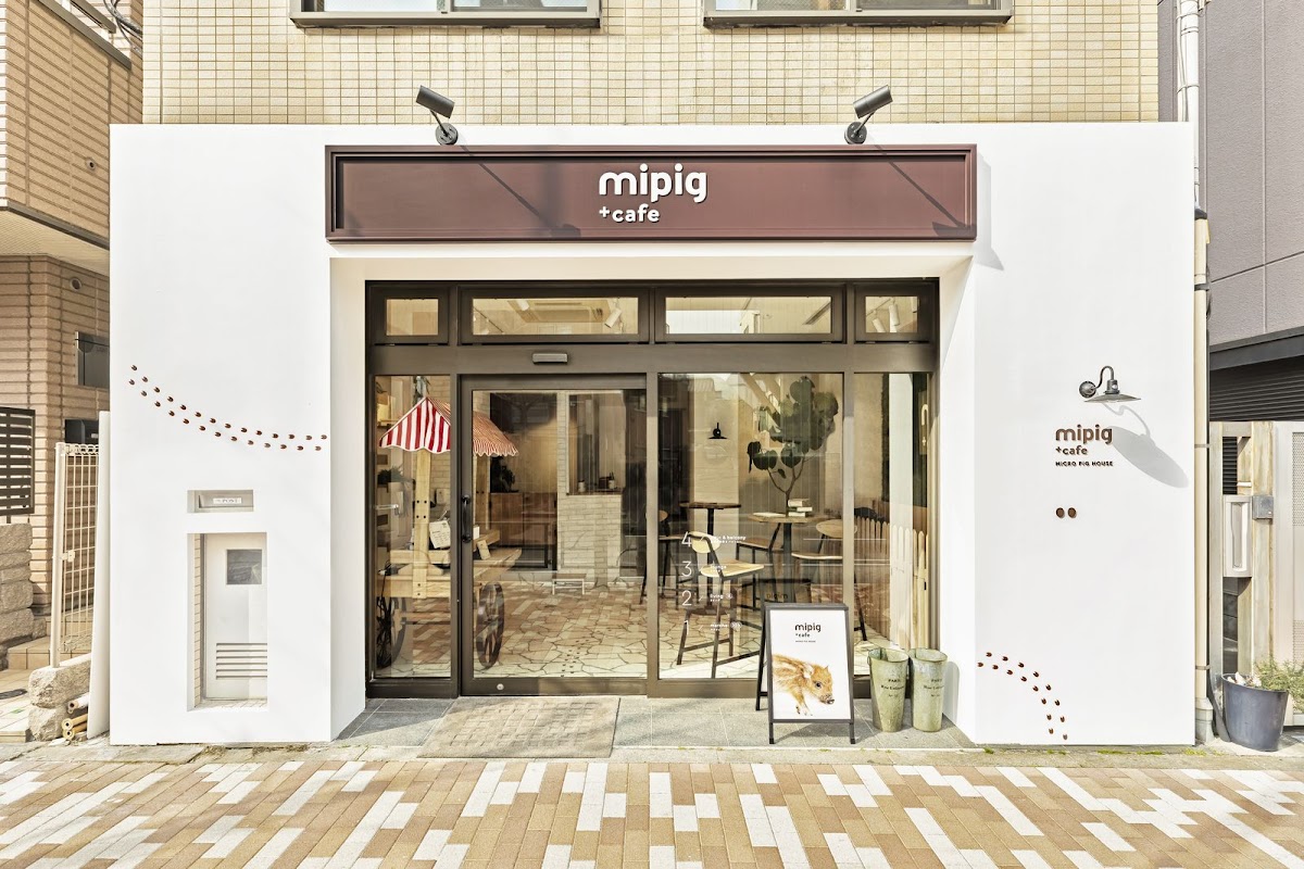 Photo principale mipig cafe Meguro