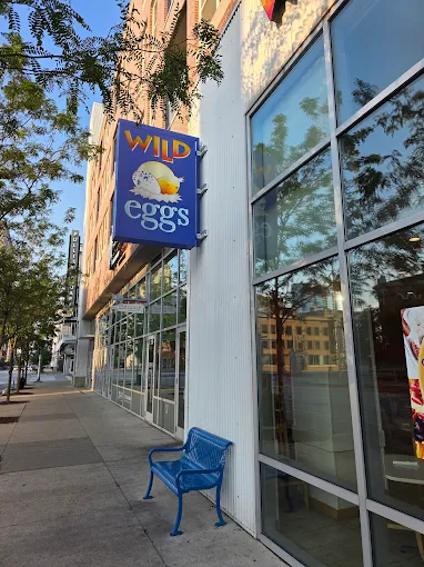 Photo principale Wild Eggs