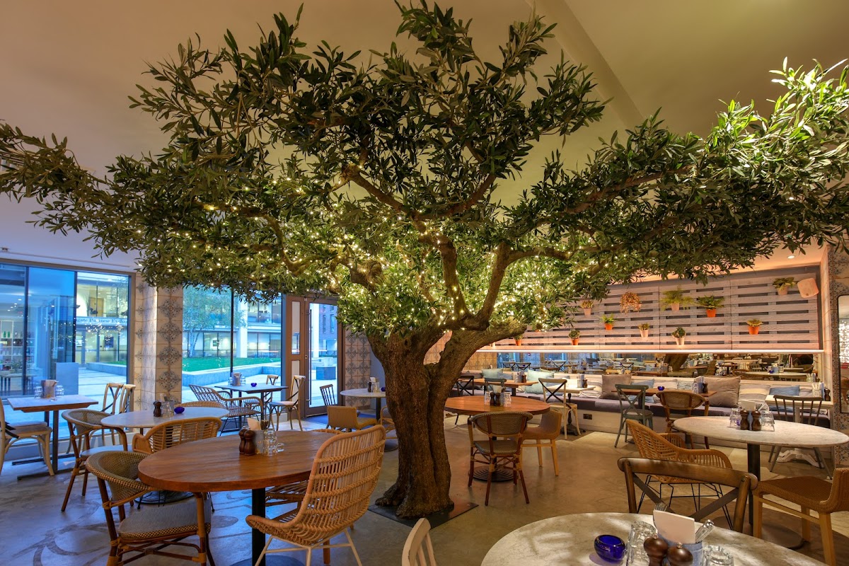 Megan's Clapham Old Town Restaurant (Clapham) Titelbild