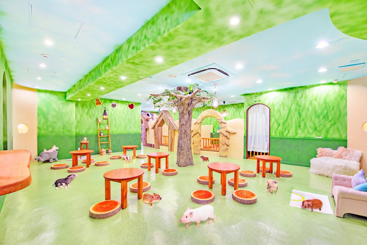 mipig cafe Harajuku hero