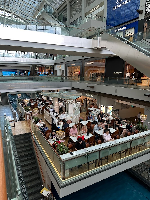 Photo principale Angelina