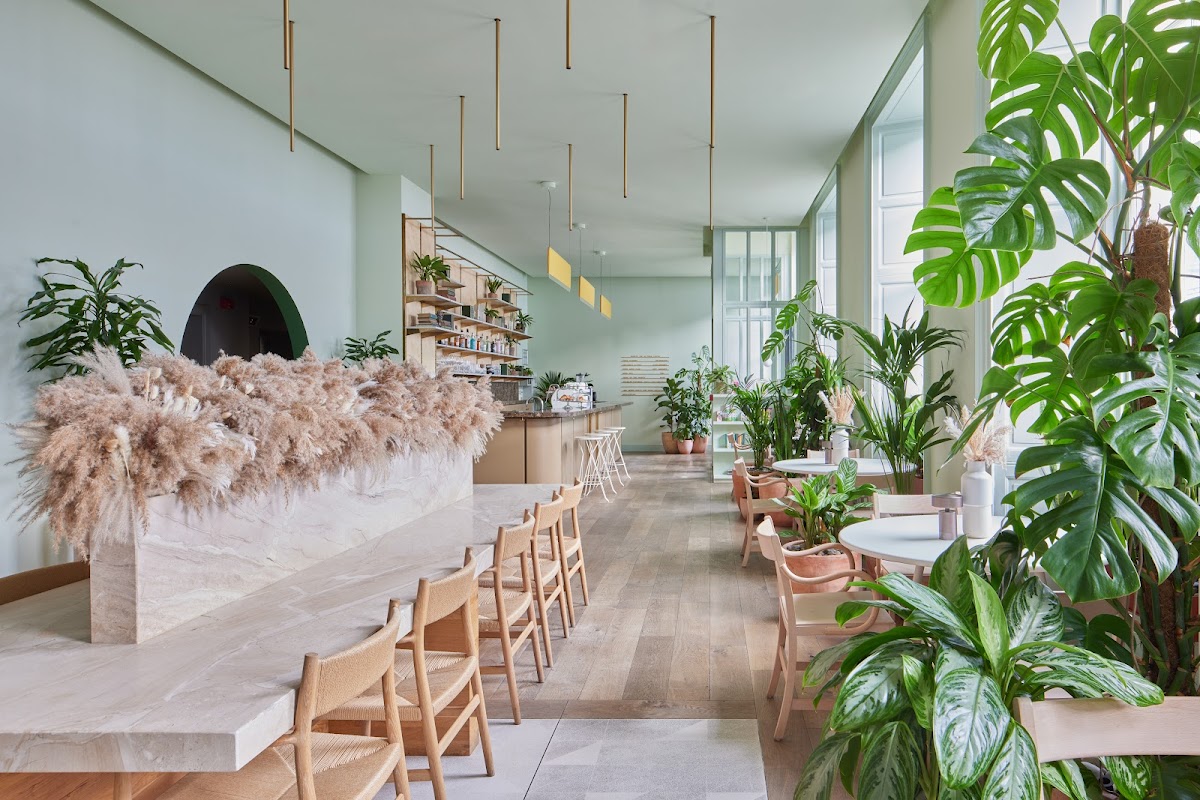 Mayvn Cafe Titelbild