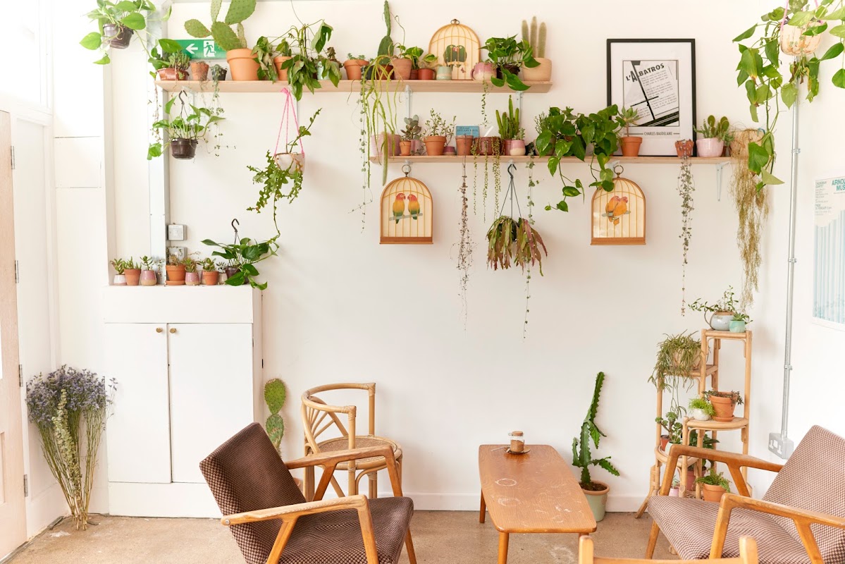 Albatross Café hero