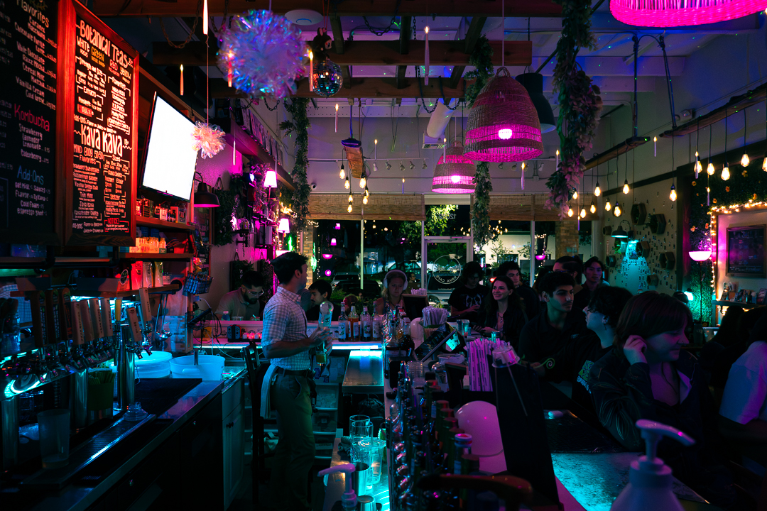 The Muddy Root Kava Cafe hero