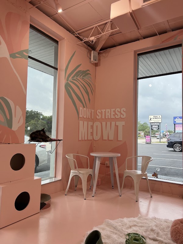 Cats and Caffeine Titelbild