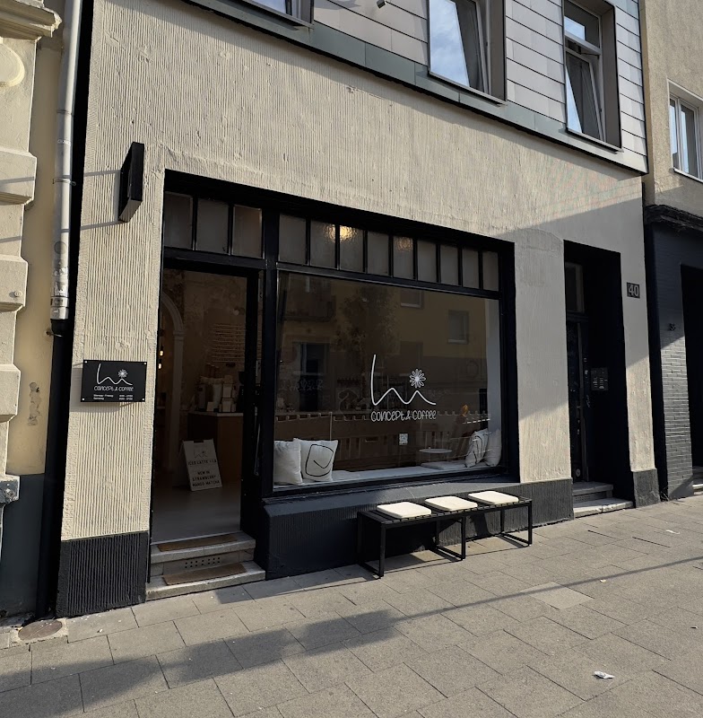 hi daisy - concept & coffee hero