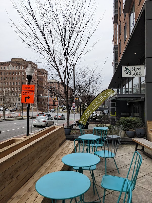 Bird in Hand Titelbild