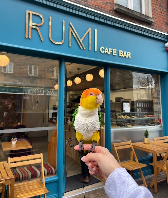 Rumi Cafe Francis Street Titelbild