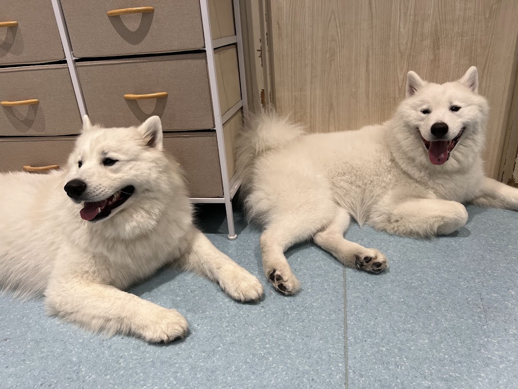 サモエドカフェ アル 名古屋栄店 Titelbild