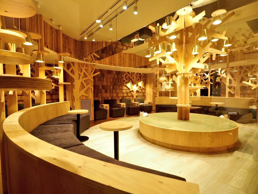 Cat Cafe Mocha /Ikebukuro West Store hero