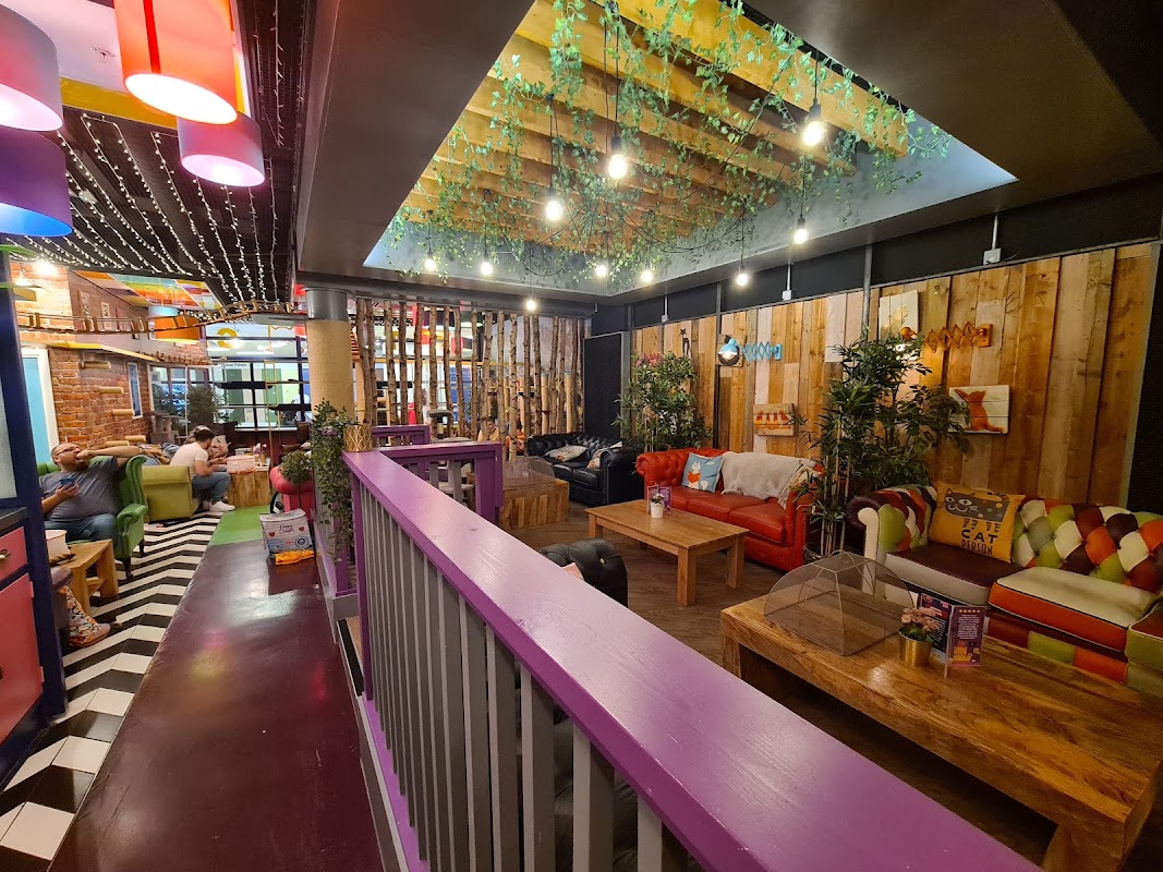Kitty Café Birmingham ヒーロー画像