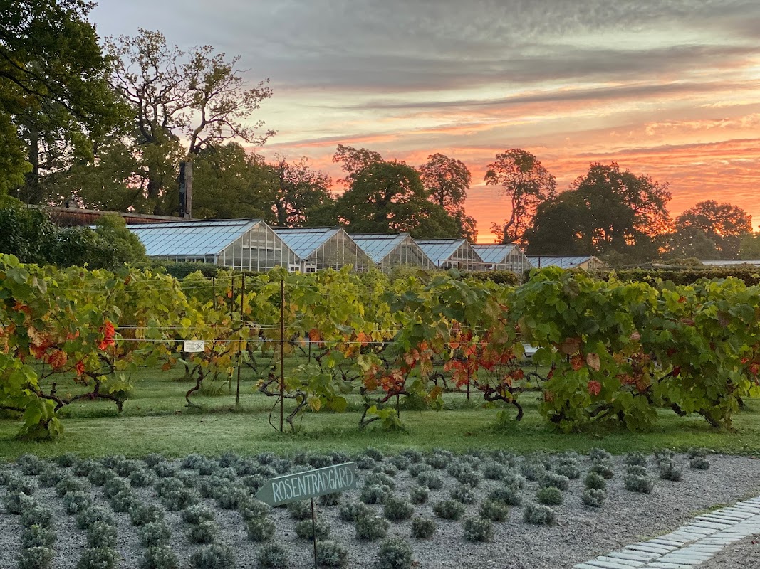 Photo principale Rosendals Trädgård