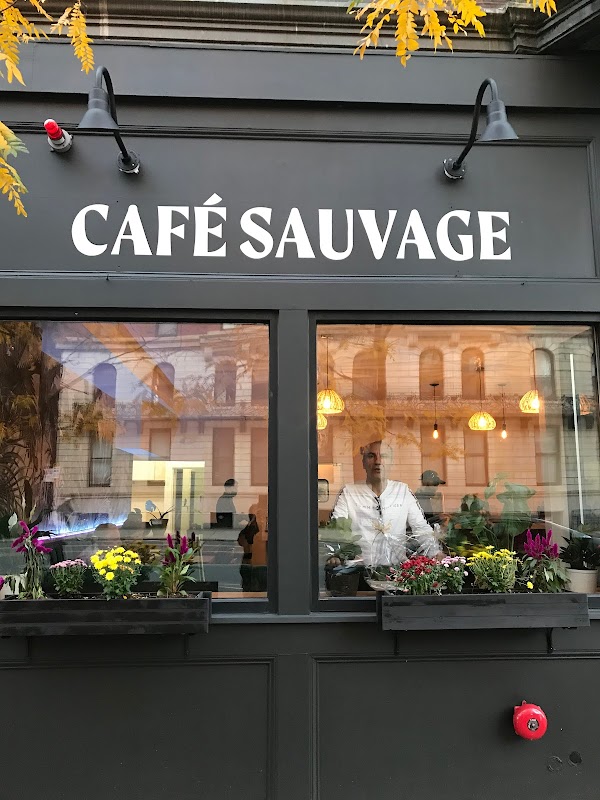 Cafe sauvage ヒーロー画像