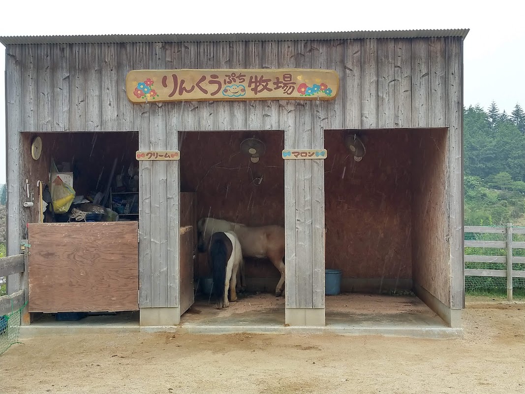 Photo principale Orchard