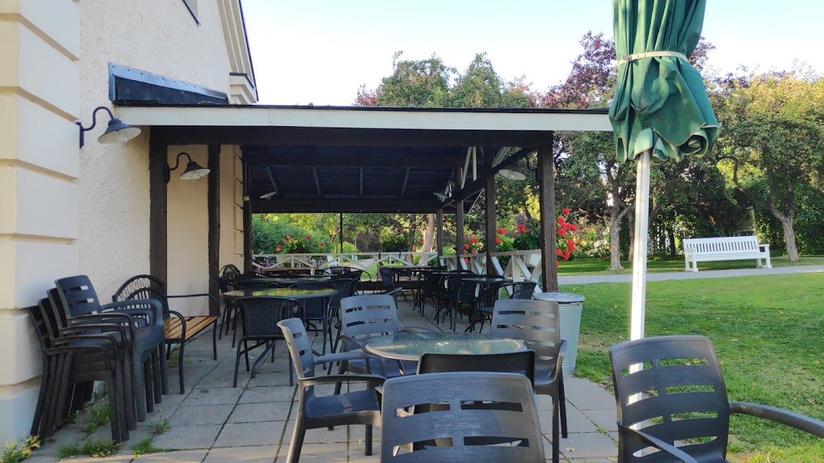 Summer Café Arboretum ヒーロー画像