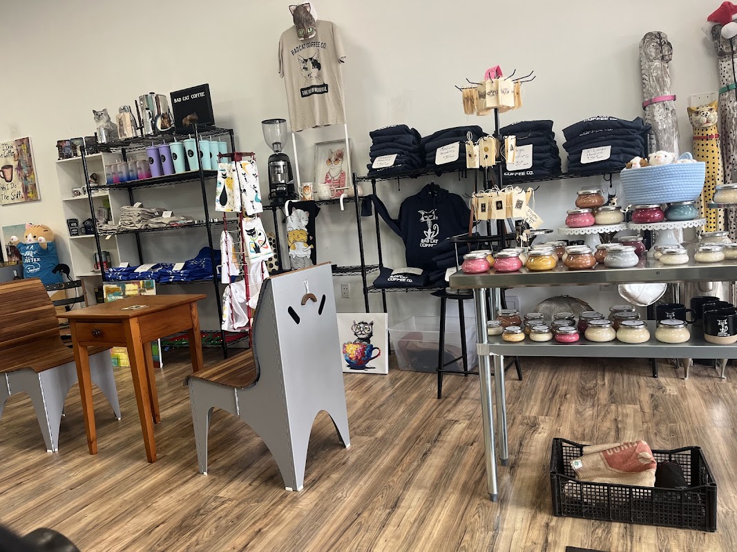 Bad Cat Coffee Westgate Road hero