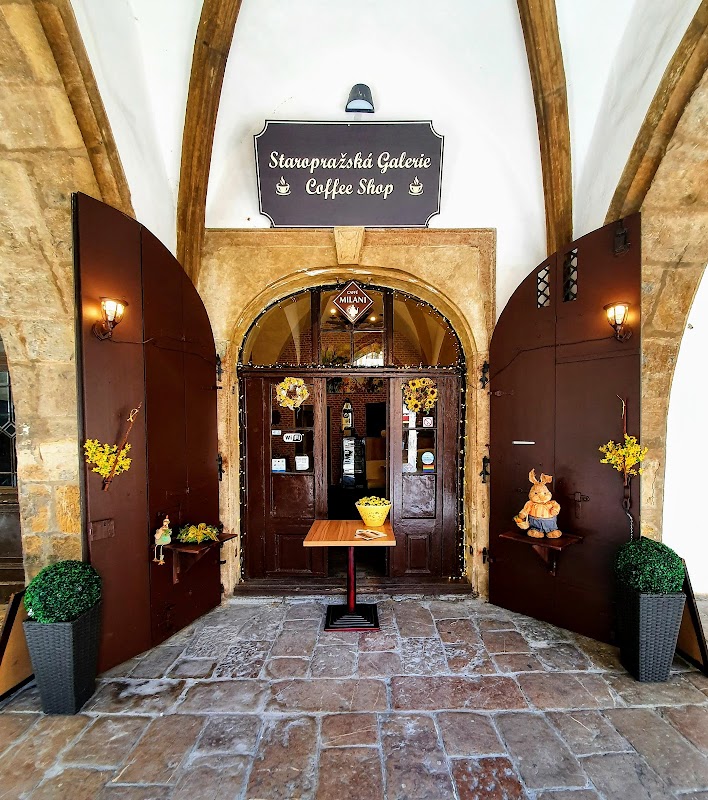 Staropražská galerie Titelbild