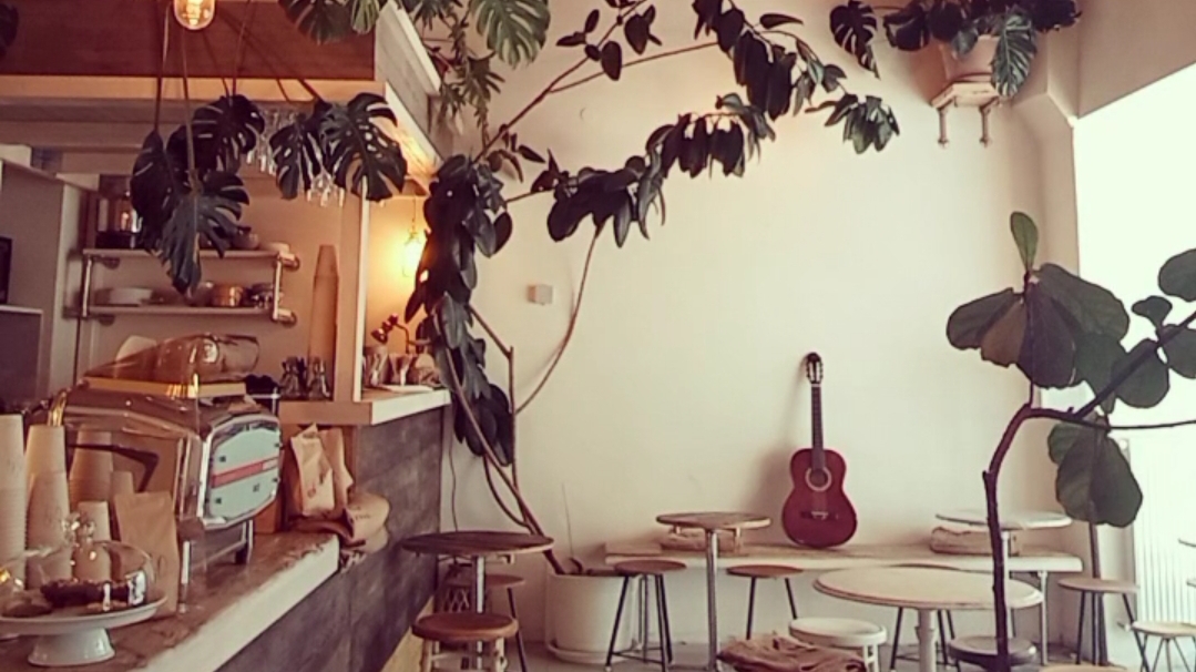 Bio Cafe Blütezeit hero