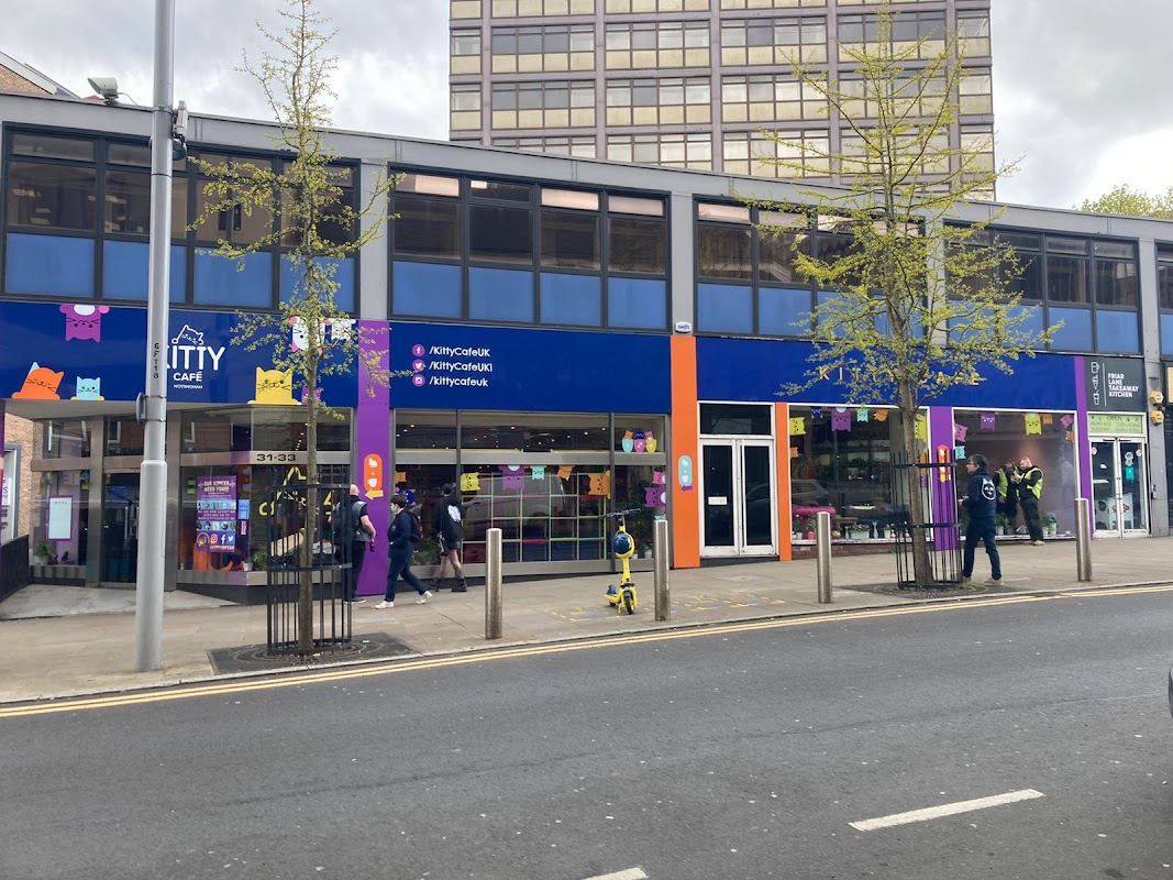 Kitty Café ヒーロー画像