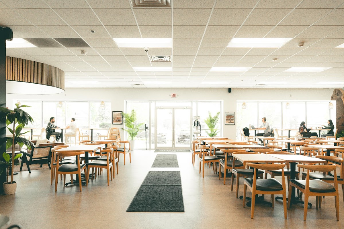 Photo principale Qamaria | Yemeni Coffee Co.