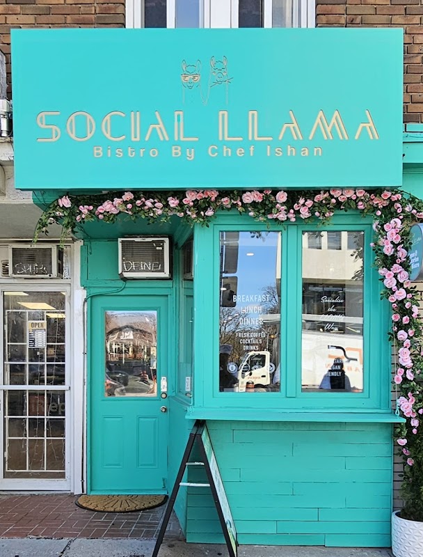 Social Llama Cafe hero