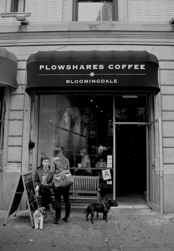 Plowshares Coffee Bloomingdale hero