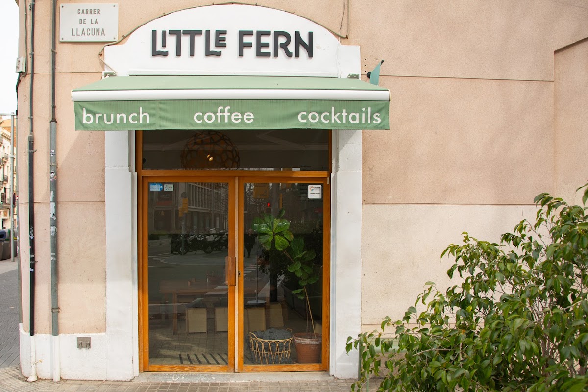 Photo principale LITTLE FERN