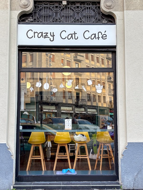 Crazy Cat Café hero