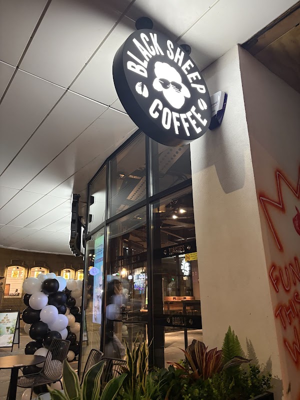 Black Sheep Coffee hero