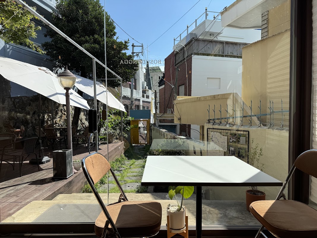 bosudongga Titelbild