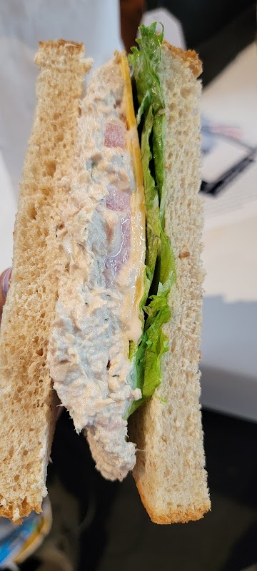 Daily Brew ヒーロー画像