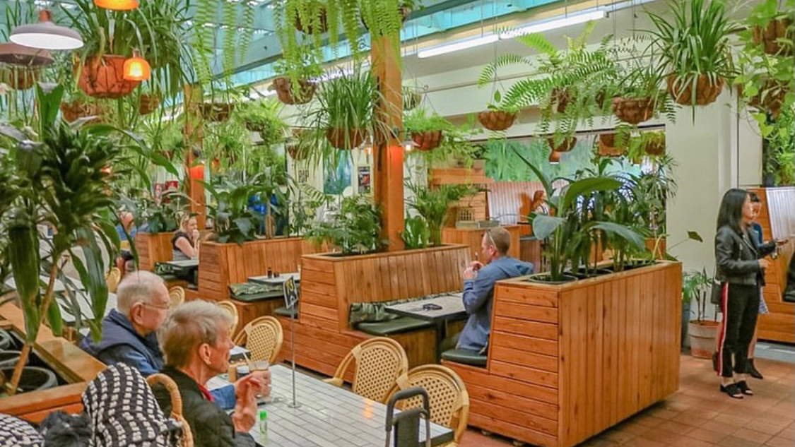 Social Brew Titelbild