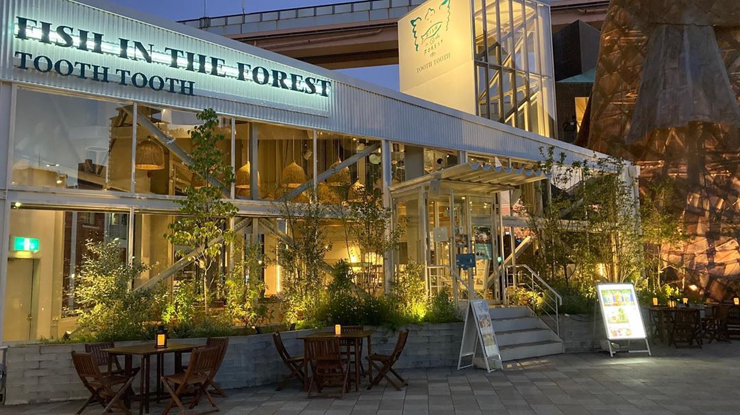 FISH IN THE FOREST TOOTH TOOTH Titelbild