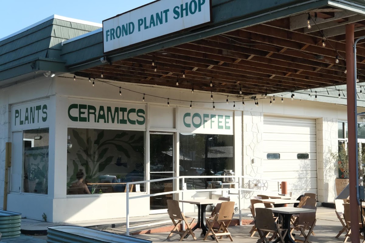 Desnudo Coffee: South Lamar hero