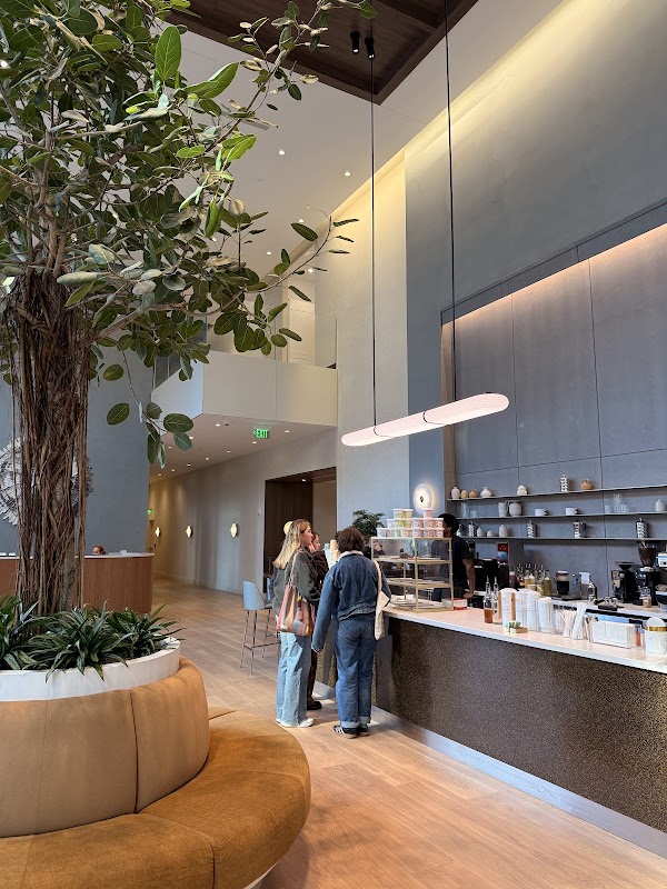 Alchemy Coffee Titelbild