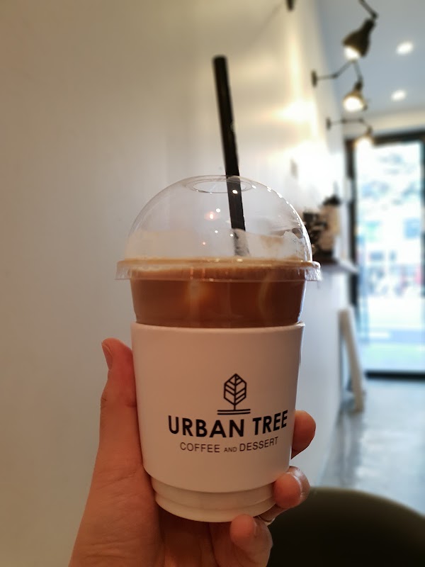 Photo principale Urban Tree