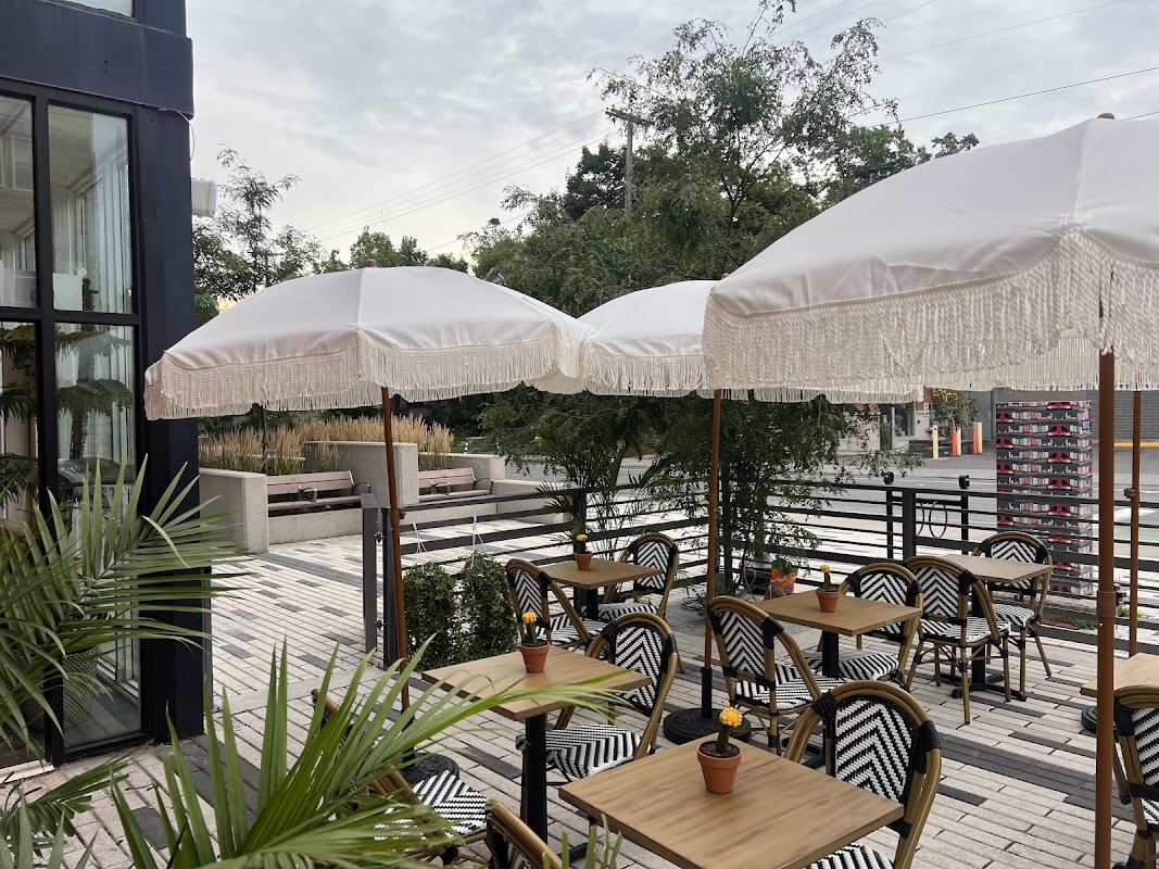 Drip House Titelbild