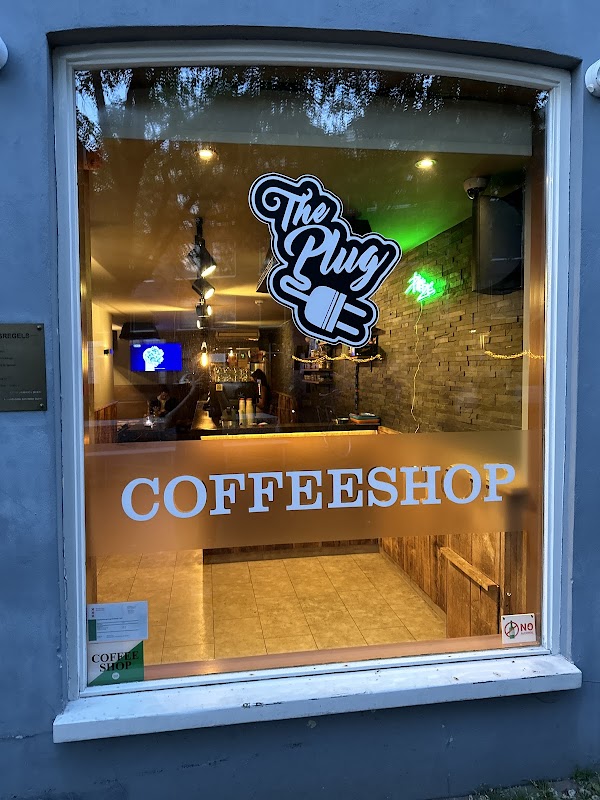 Photo principale The Plug Westerdok