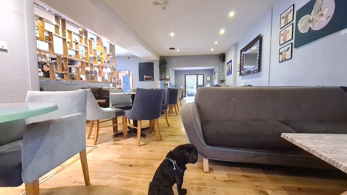 Spill The Beans Titelbild