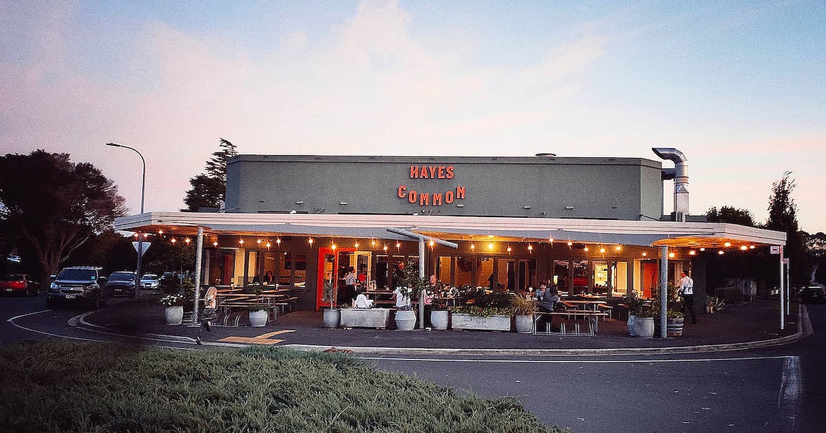 Hayes Common Titelbild