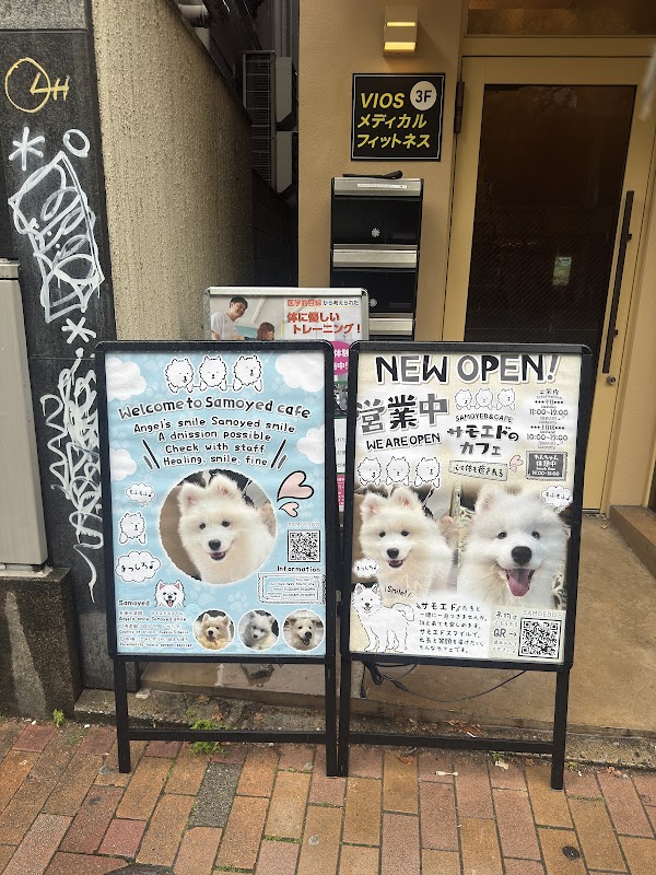 Samoyed Park Fukuoka Tenjin hero