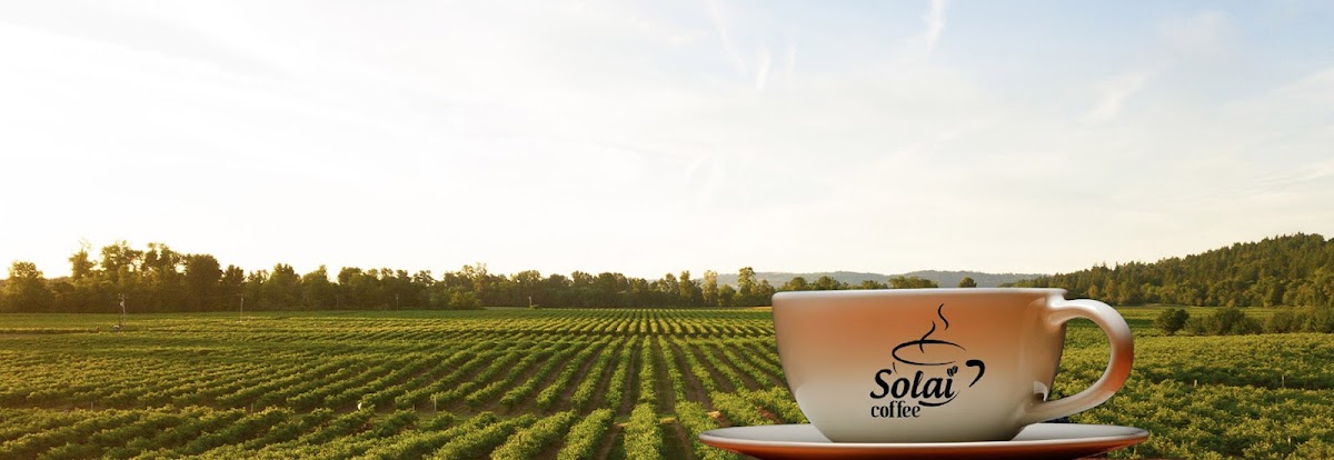 Solai Coffee ヒーロー画像